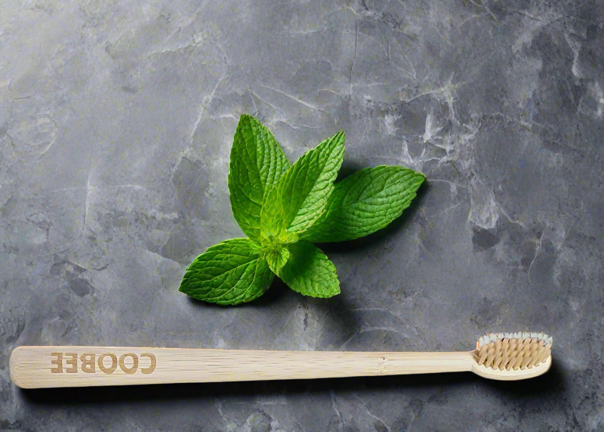 Bamboo Toothbrush - COOBEE